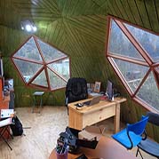 Plants: image 2 0f 12 thumb