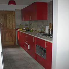 Plants: image 1 0f 12 thumb