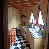 Plants: image 2 0f 12 thumb