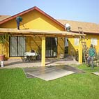 Plants: image 2 0f 12 thumb